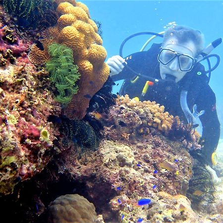 ボホール サウス ビーチ ホテル パングラオ エクステリア 写真